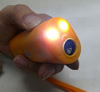 dogtrainer torch